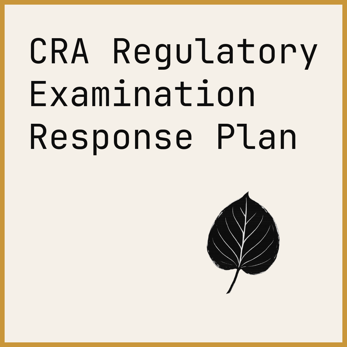 CRA Regulatory Examination Response Plan
