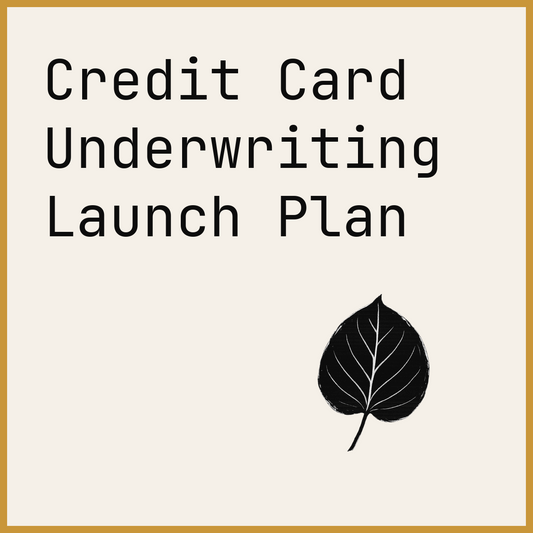 Credit Card Underwriting Launch Plan