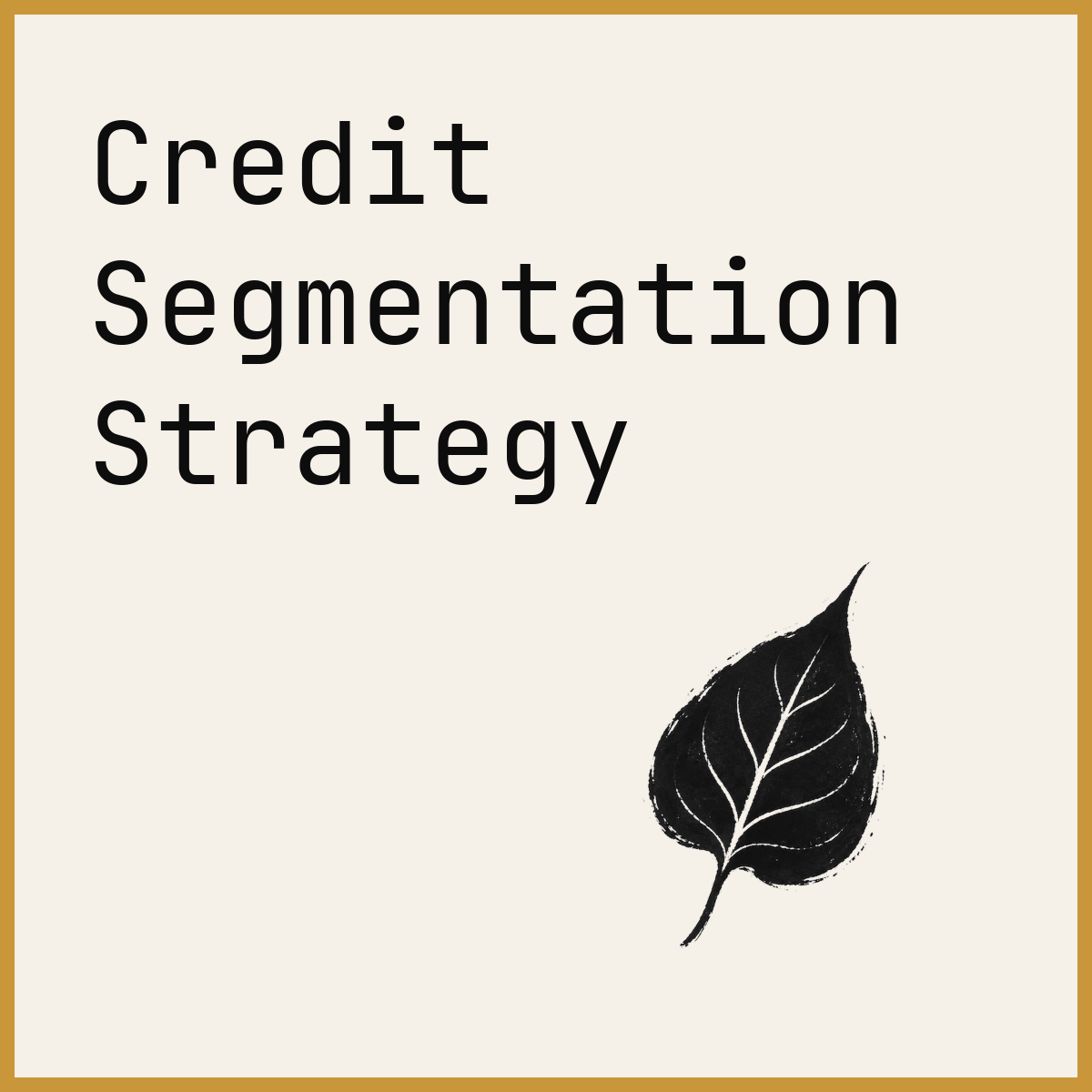Credit Segmentation Strategy