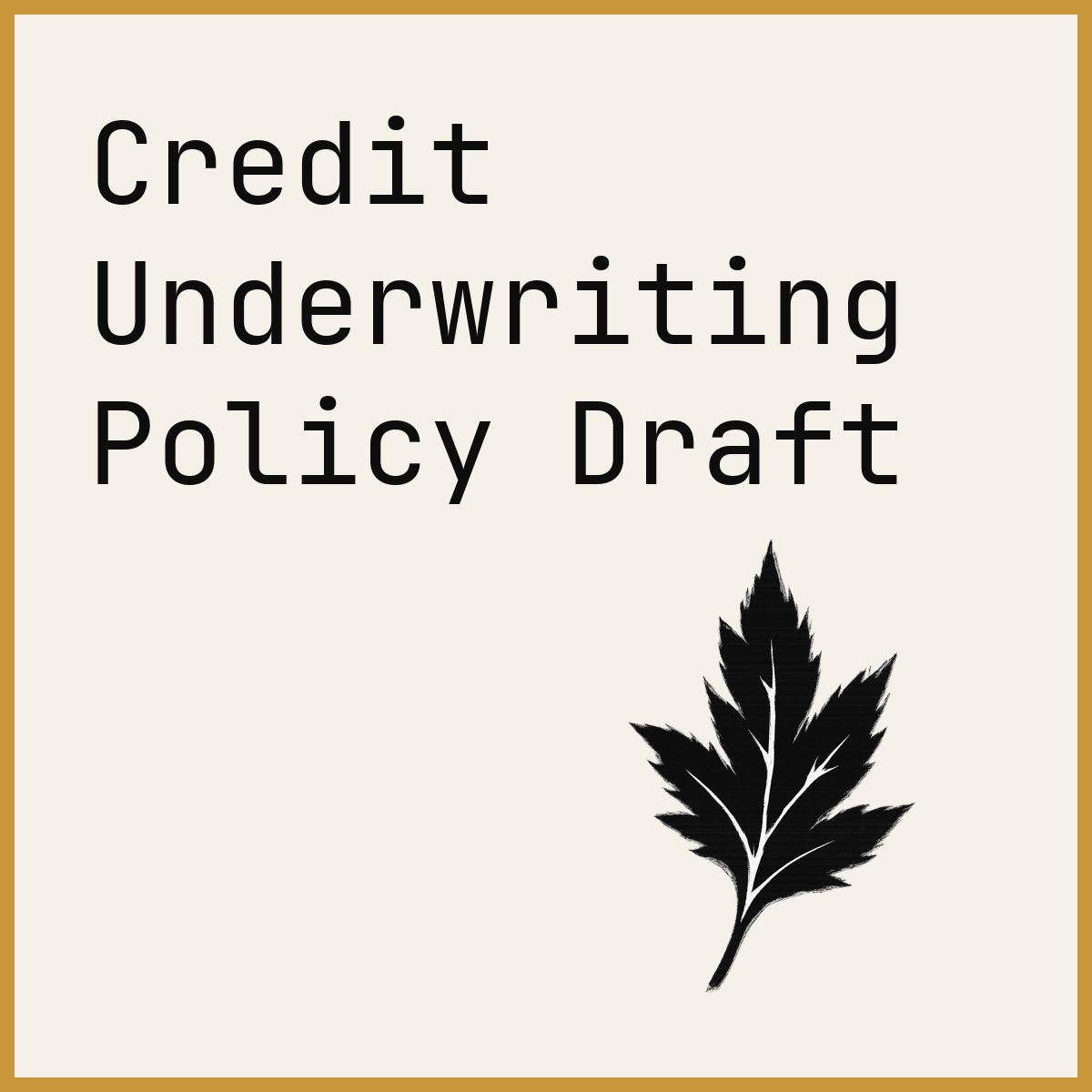 Credit Underwriting Policy Draft
