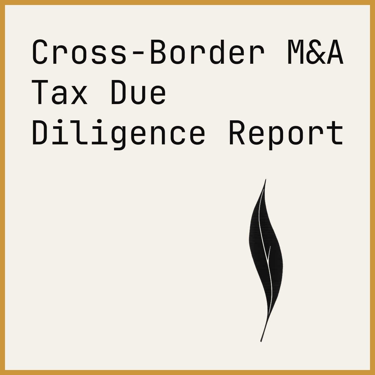 Cross-Border M&A Tax Due Diligence Report