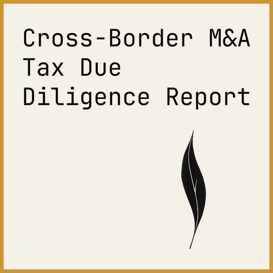 Cross-Border M&A Tax Due Diligence Report