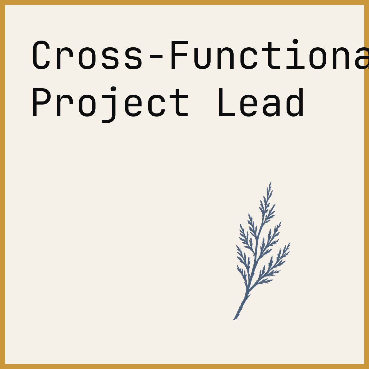 Cross-Functional Project Lead