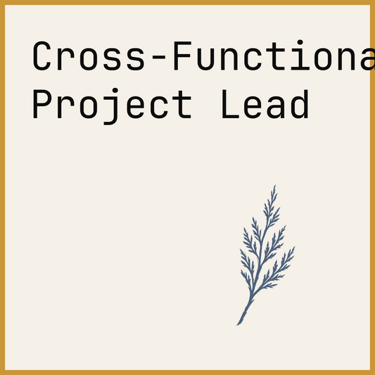 Cross-Functional Project Lead