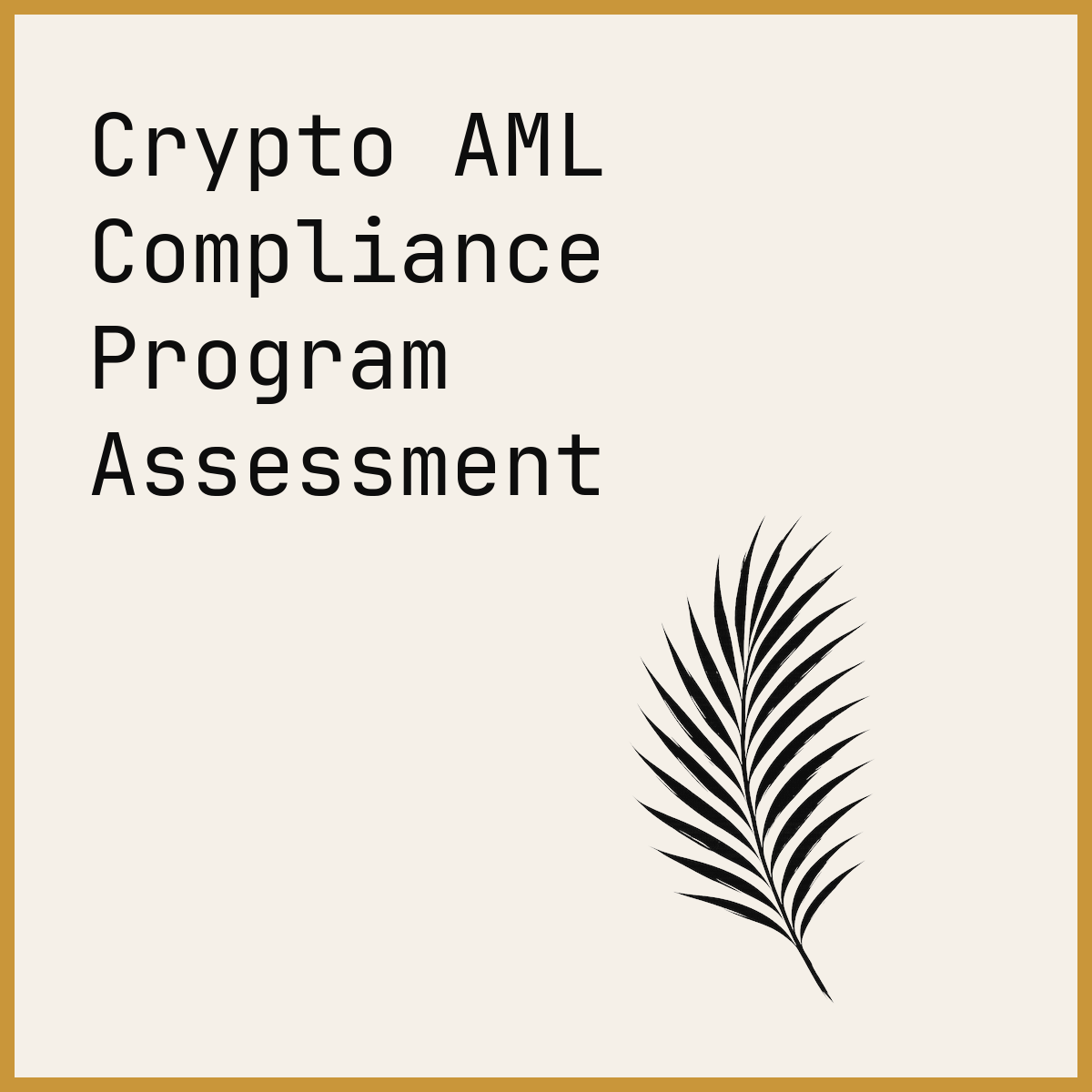 Crypto AML Compliance Program Assessment