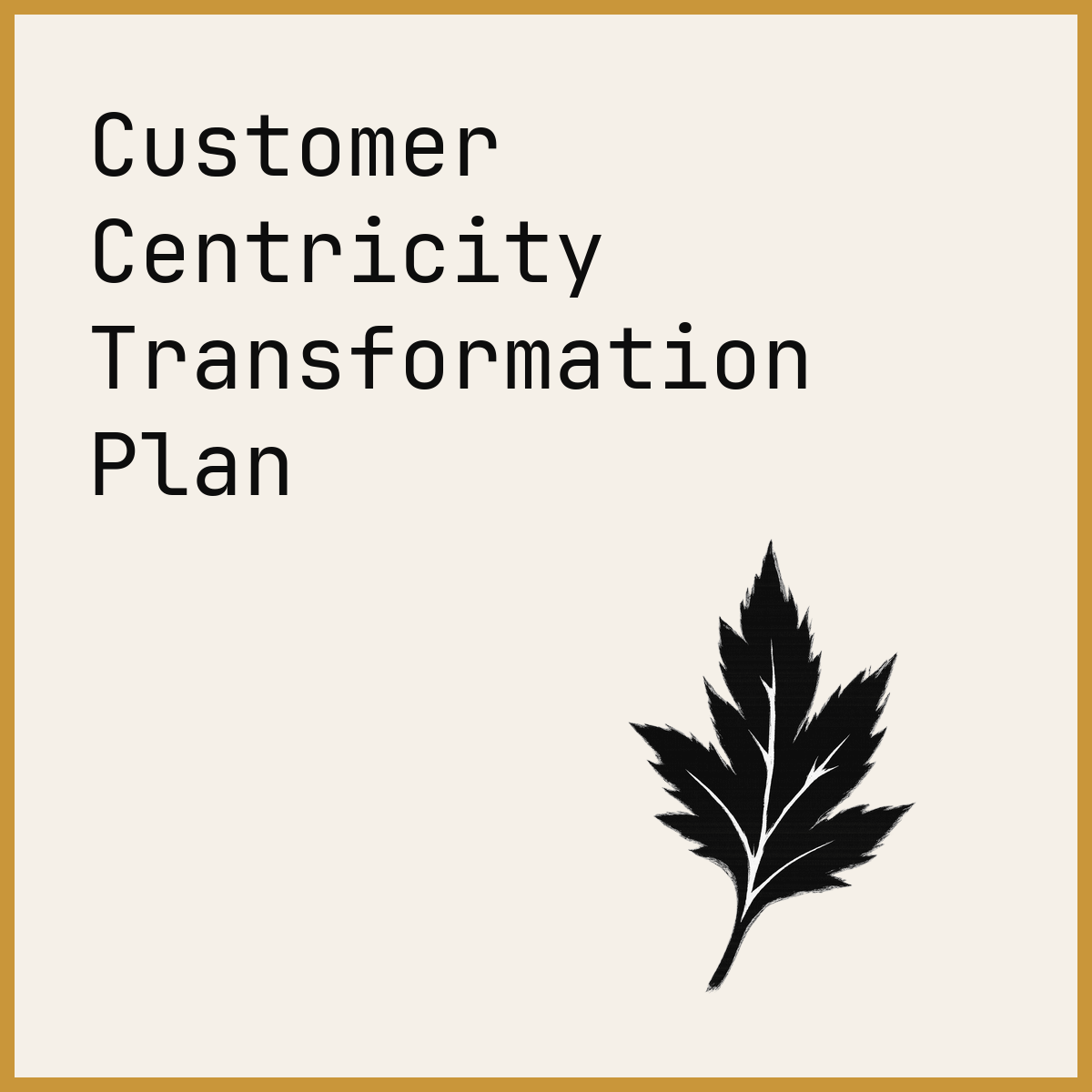 Customer Centricity Transformation Plan
