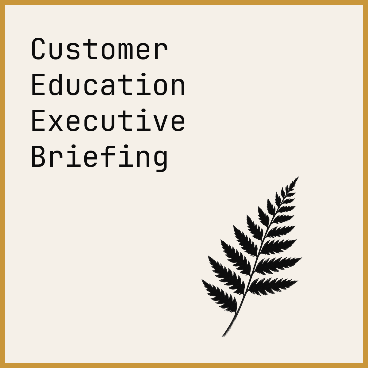 Customer Education Executive Briefing