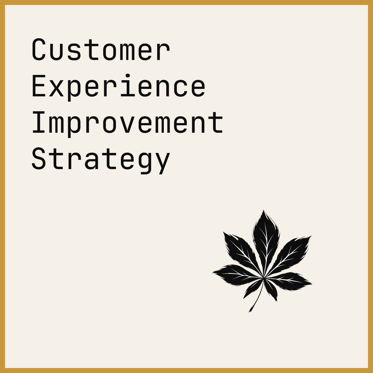 Customer Experience Improvement Strategy