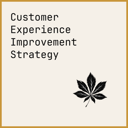Customer Experience Improvement Strategy