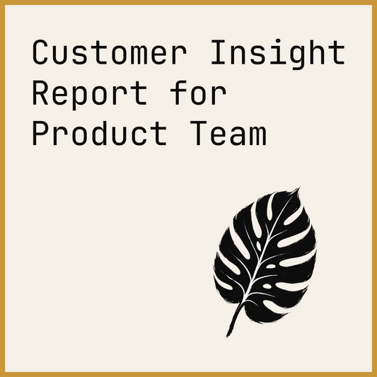 Customer Insight Report for Product Team