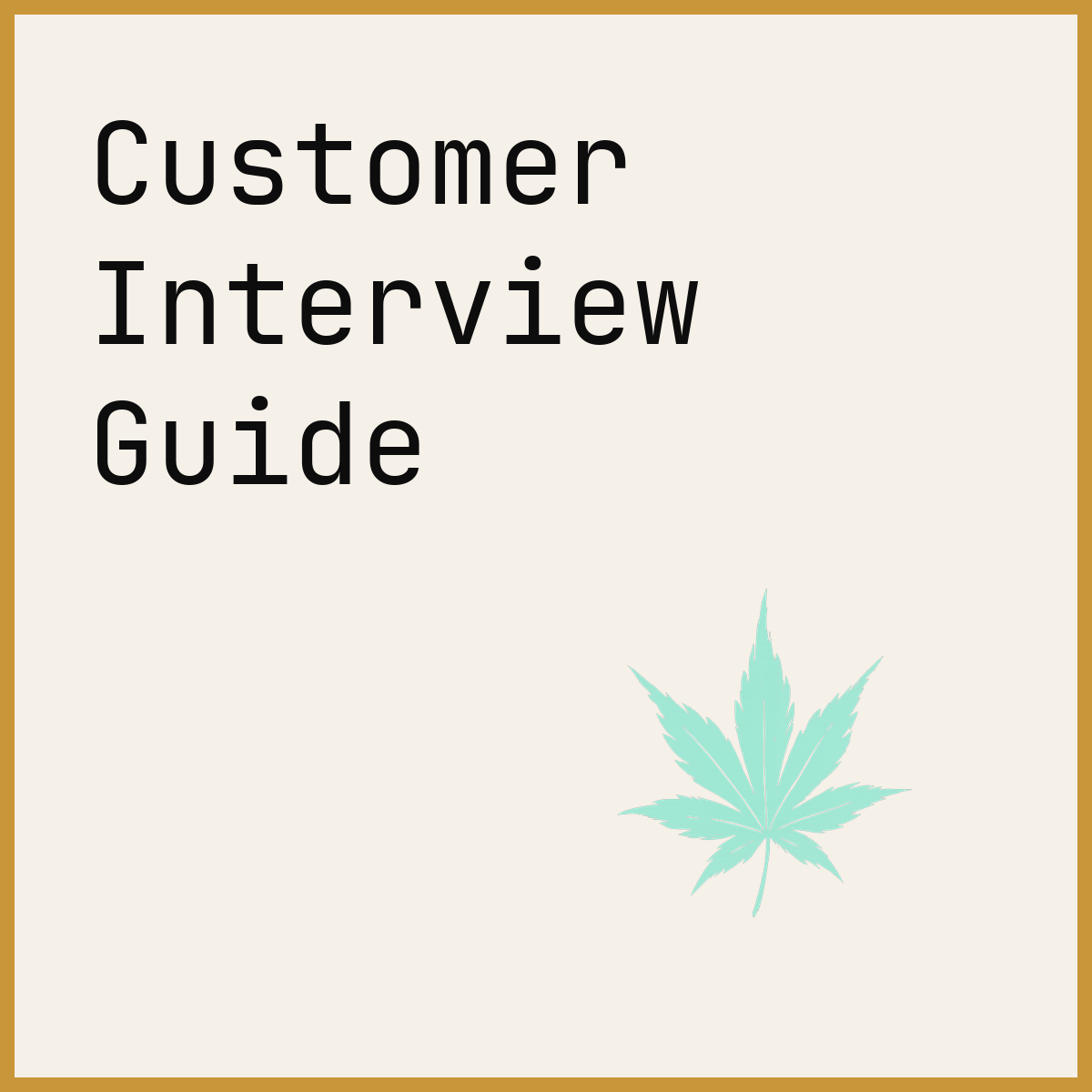 Customer Interview Guide