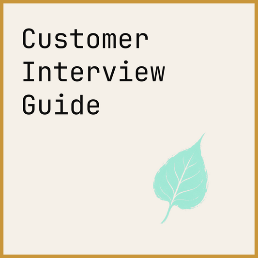 Customer Interview Guide
