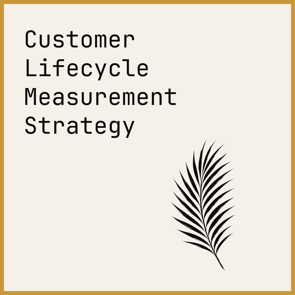 Customer Lifecycle Measurement Strategy