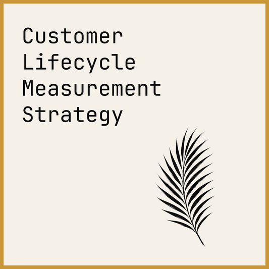 Customer Lifecycle Measurement Strategy
