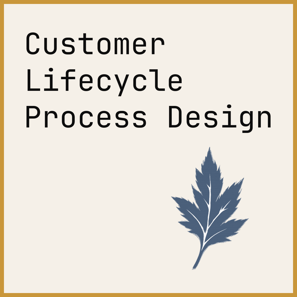 Customer Lifecycle Process Design