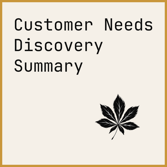 Customer Needs Discovery Summary