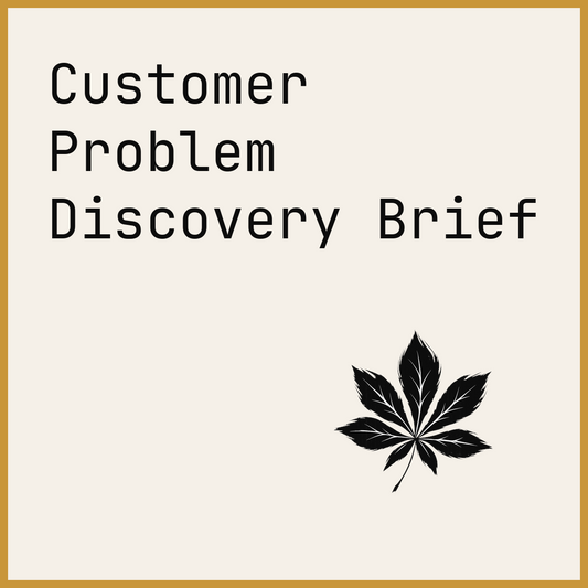 Customer Problem Discovery Brief