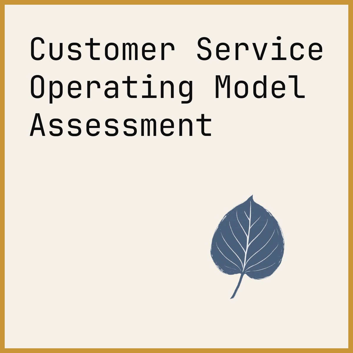 Customer Service Operating Model Assessment