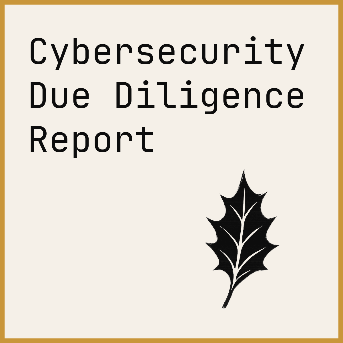 Cybersecurity Due Diligence Report