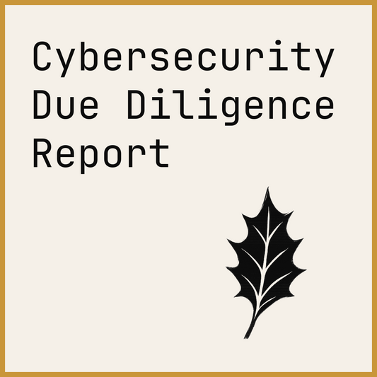 Cybersecurity Due Diligence Report