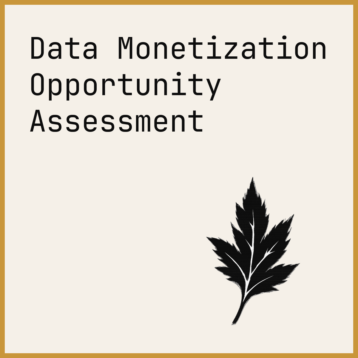Data Monetization Opportunity Assessment