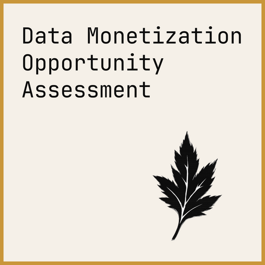 Data Monetization Opportunity Assessment