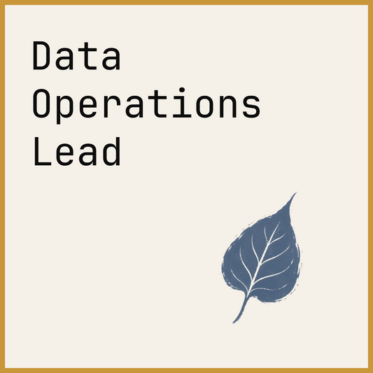 Data Operations Lead