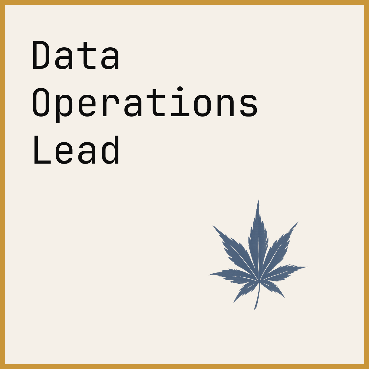 Data Operations Lead