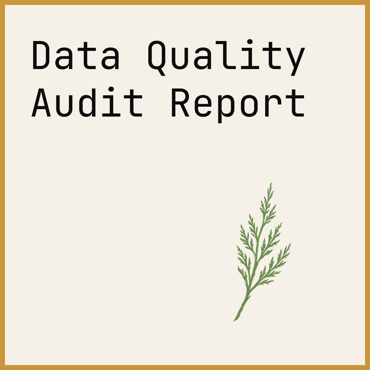 Data Quality Audit Report