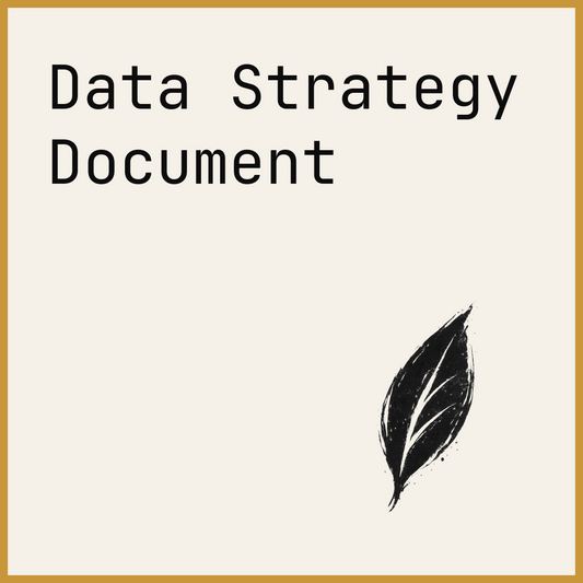 Data Strategy Document