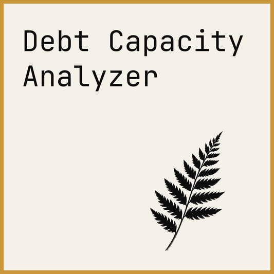 Debt Capacity Analyzer