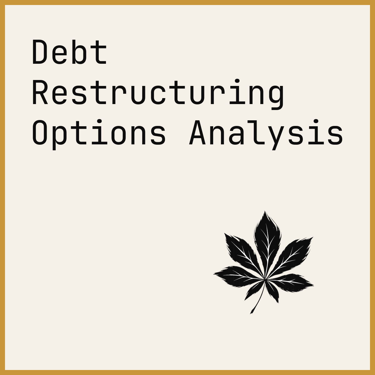 Debt Restructuring Options Analysis