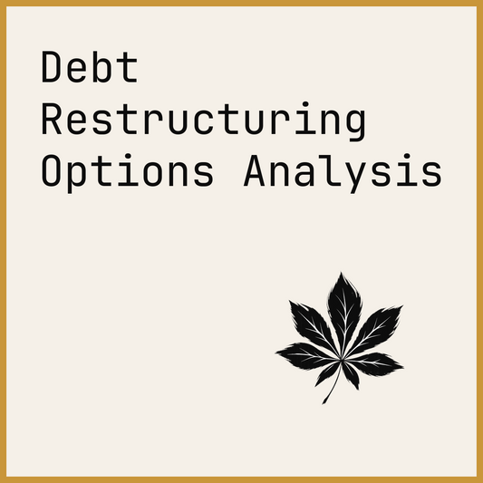 Debt Restructuring Options Analysis
