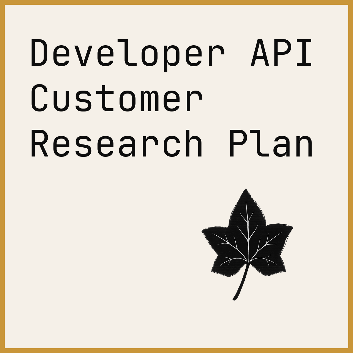 Developer API Customer Research Plan