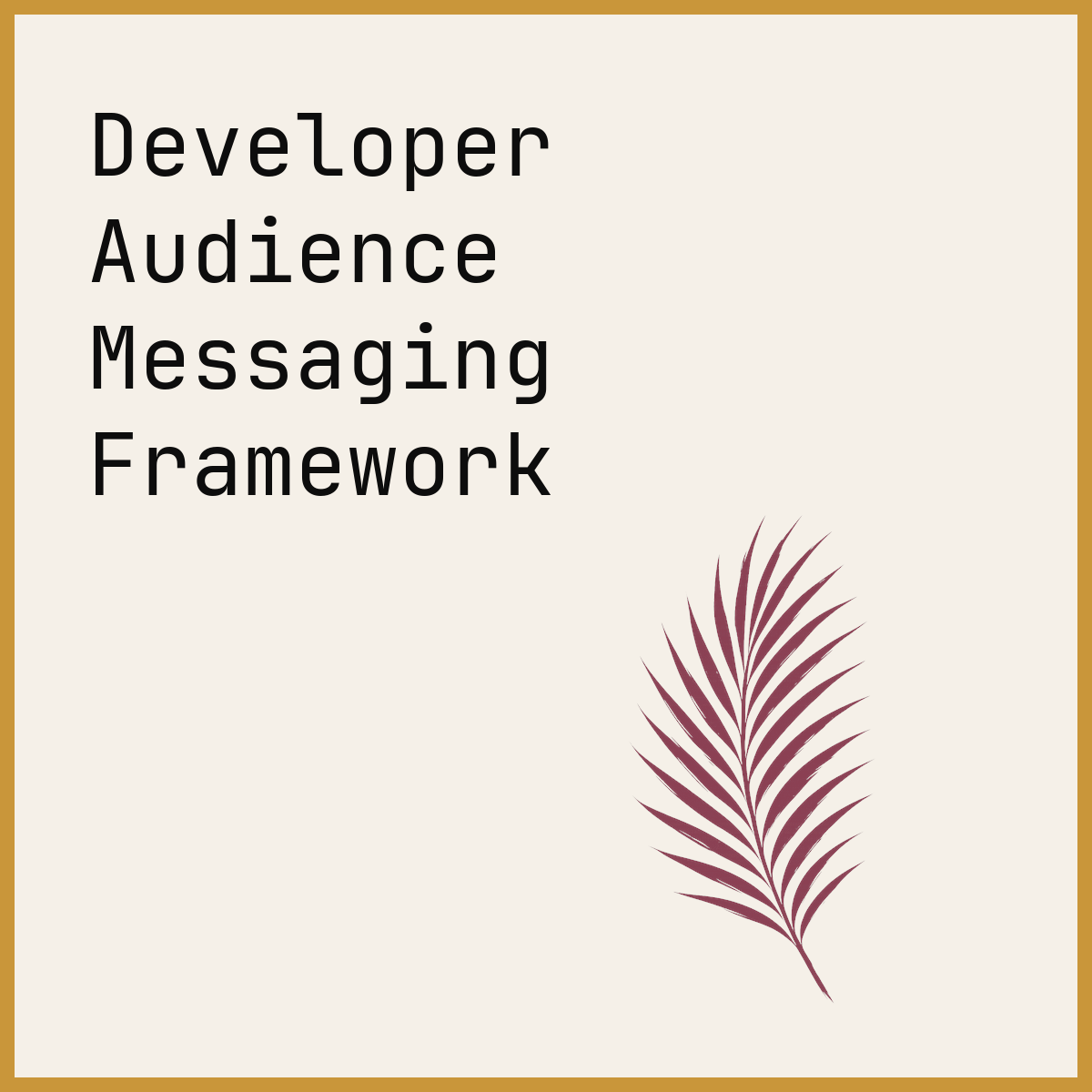 Developer Audience Messaging Framework