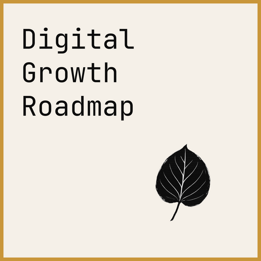 Digital Growth Roadmap