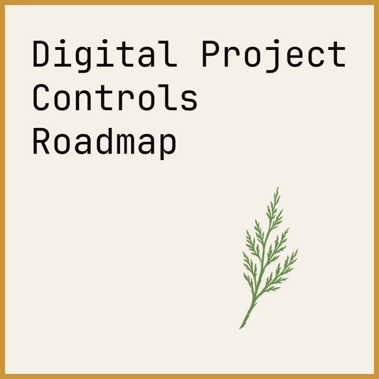 Digital Project Controls Roadmap