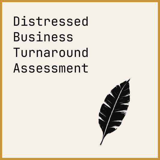 Distressed Business Turnaround Assessment