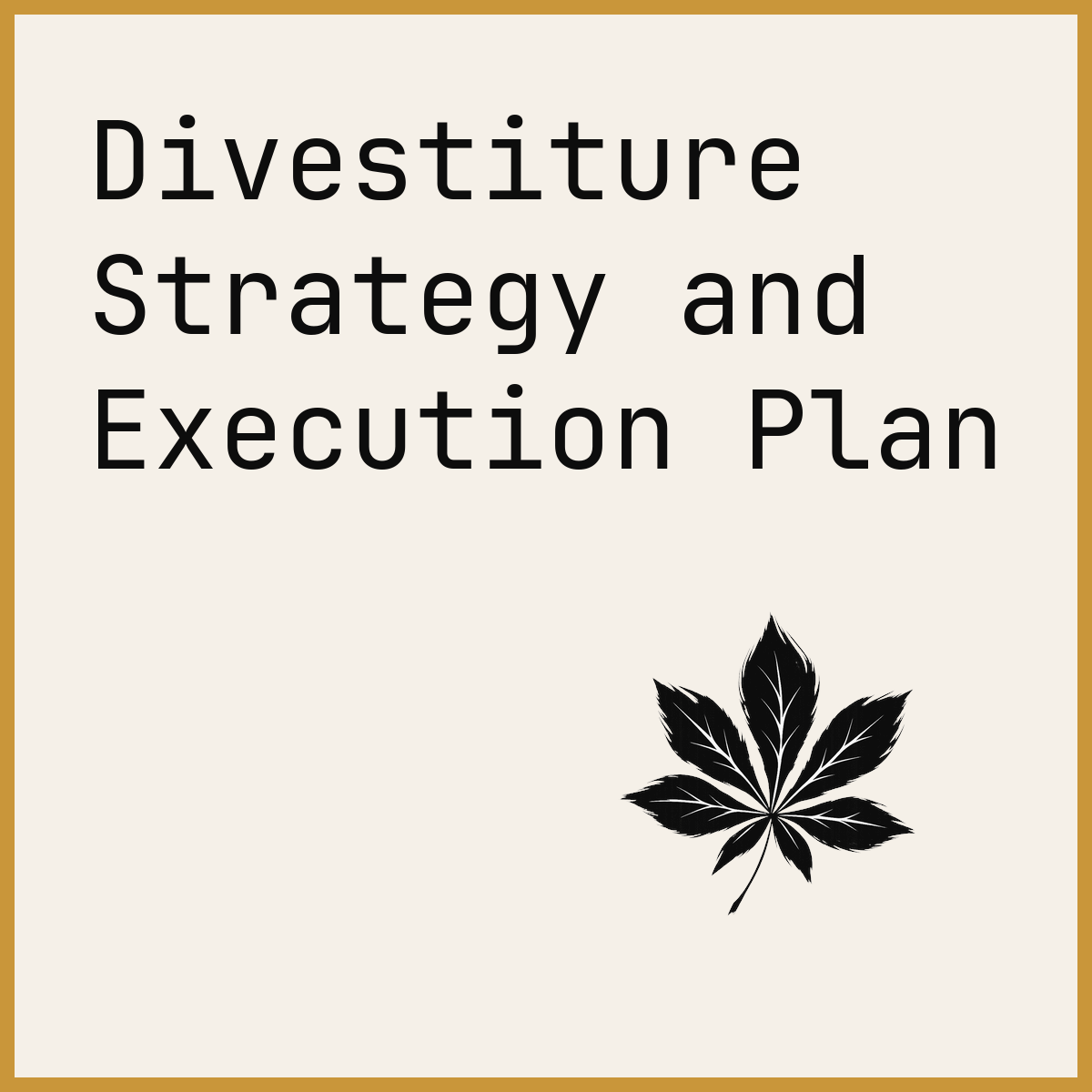 Divestiture Strategy and Execution Plan