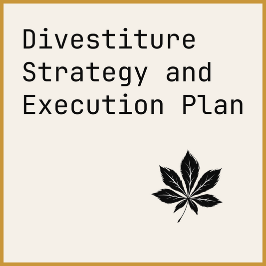 Divestiture Strategy and Execution Plan