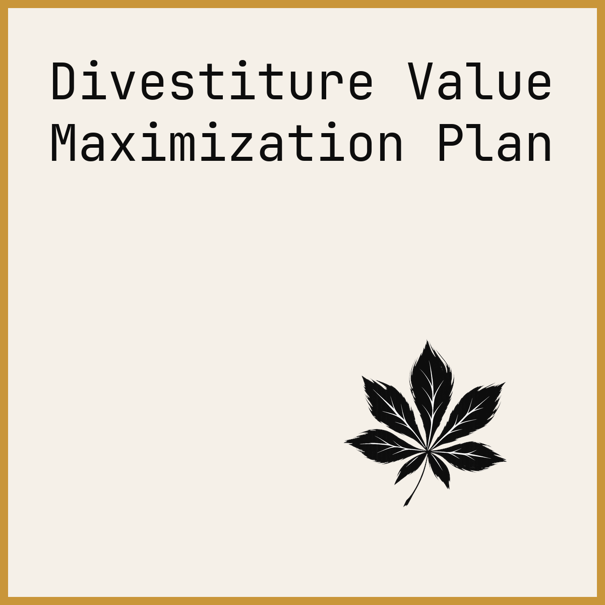 Divestiture Value Maximization Plan