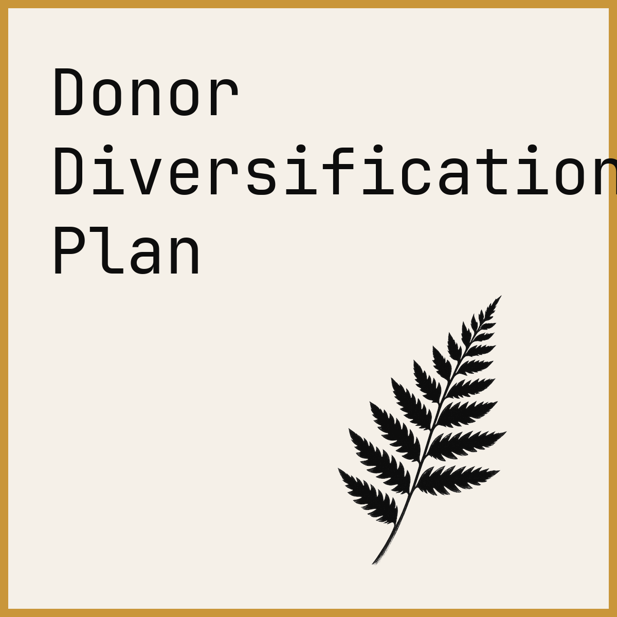 Donor Diversification Plan