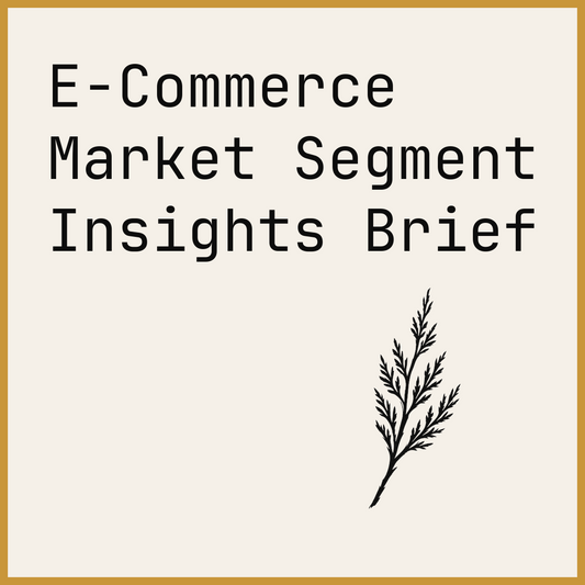 E-Commerce Market Segment Insights Brief