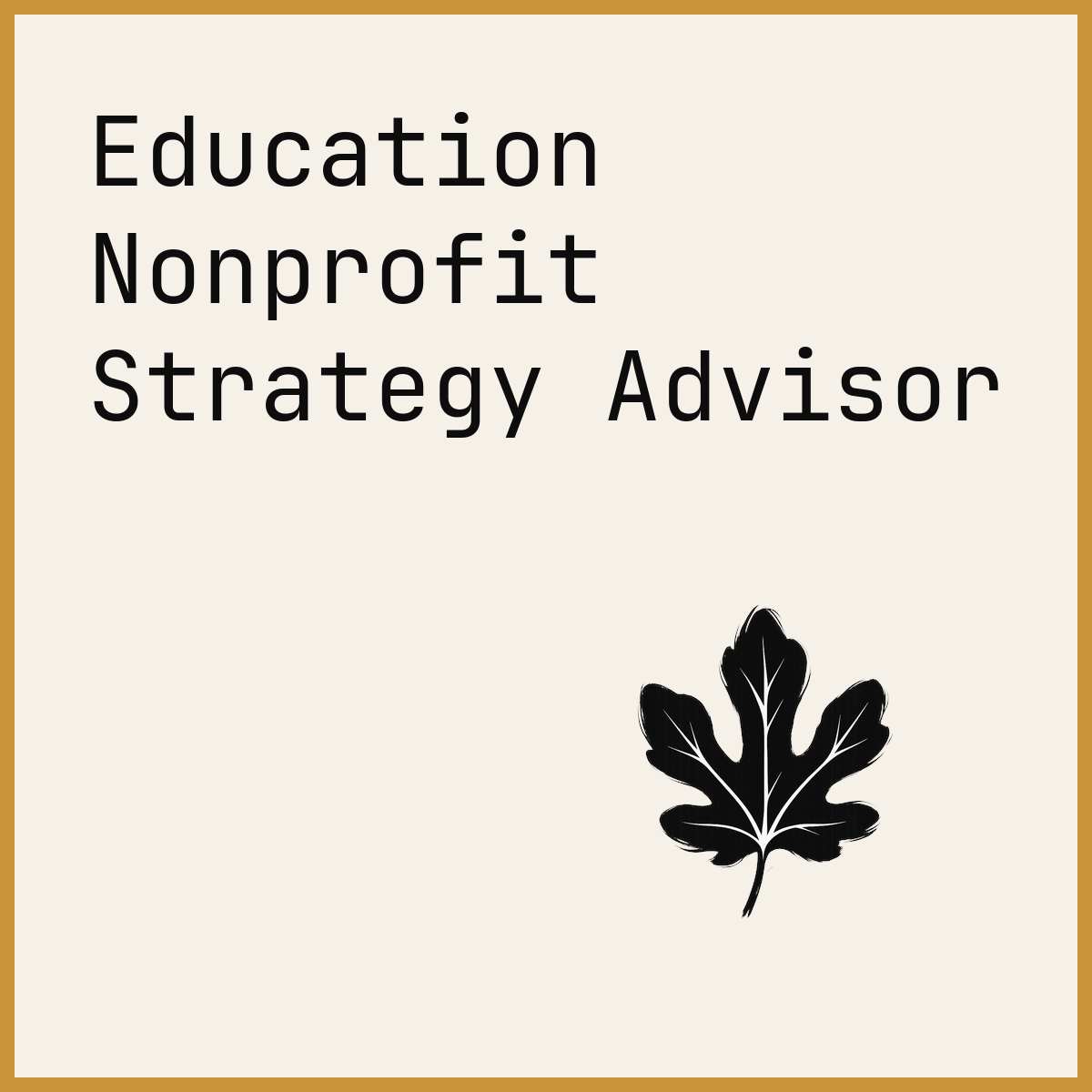 Education Nonprofit Strategy Advisor