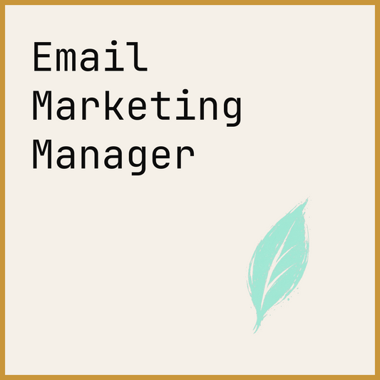Email Marketing Manager