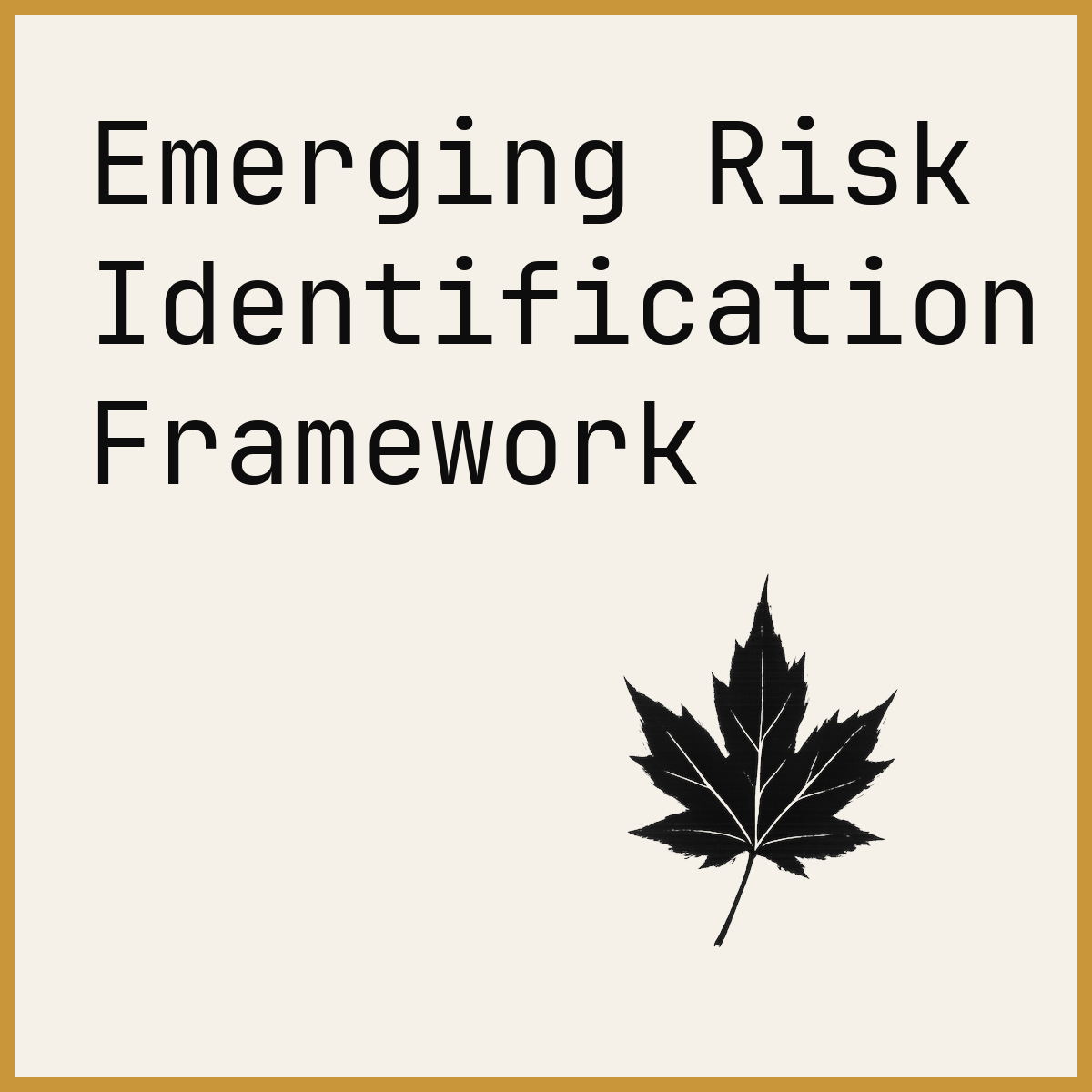 Emerging Risk Identification Framework