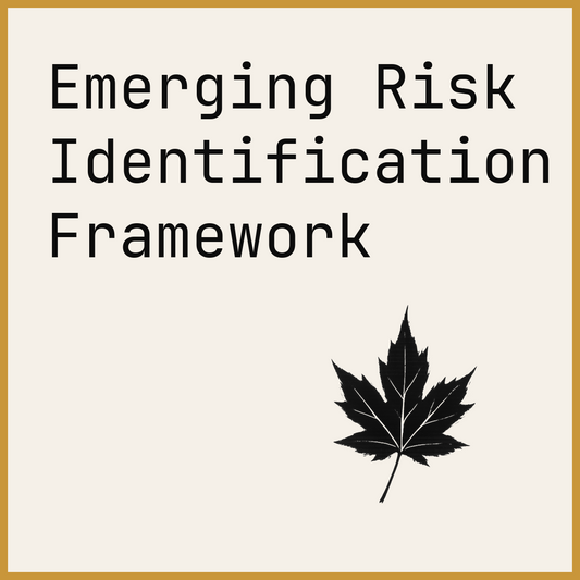 Emerging Risk Identification Framework