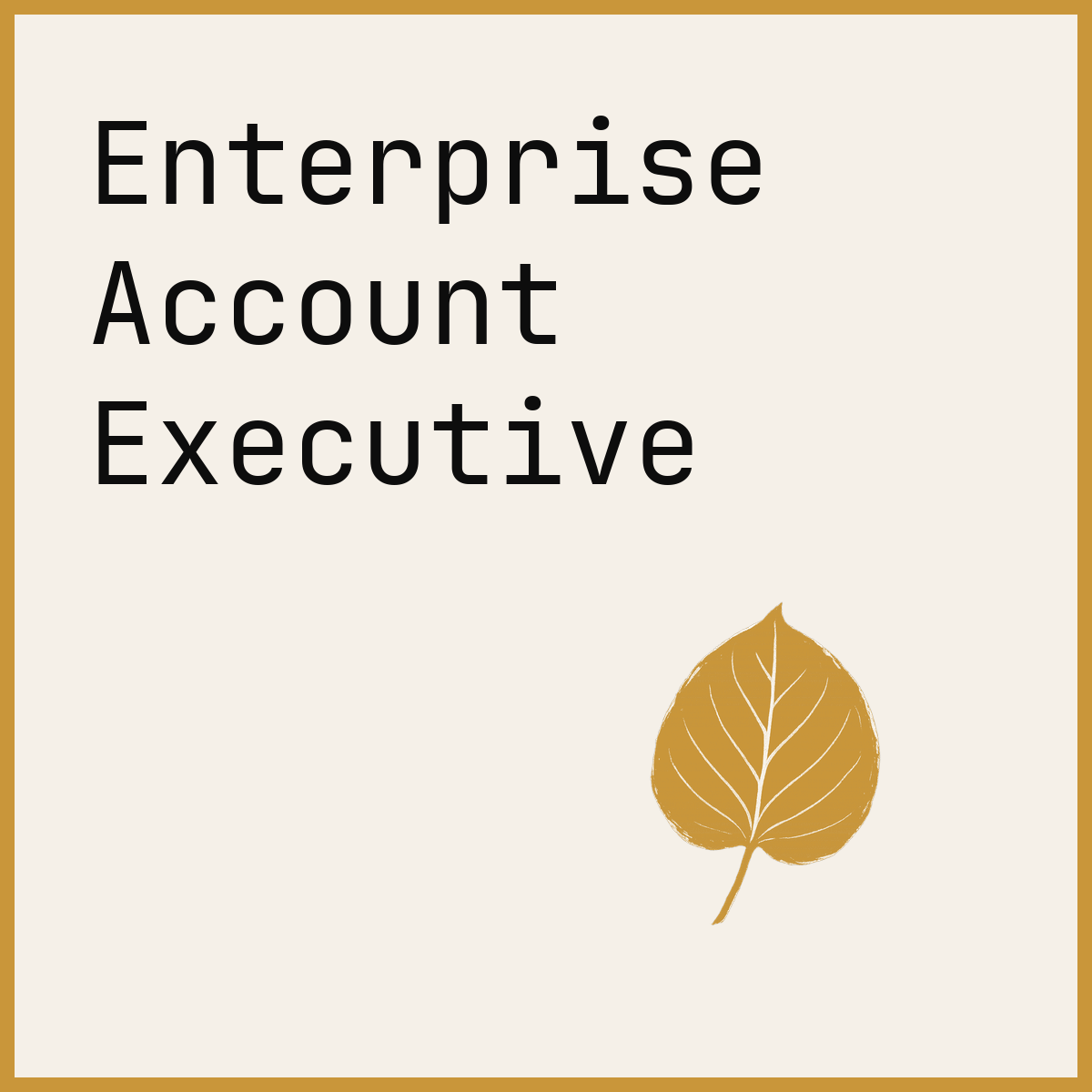 Enterprise Account Executive