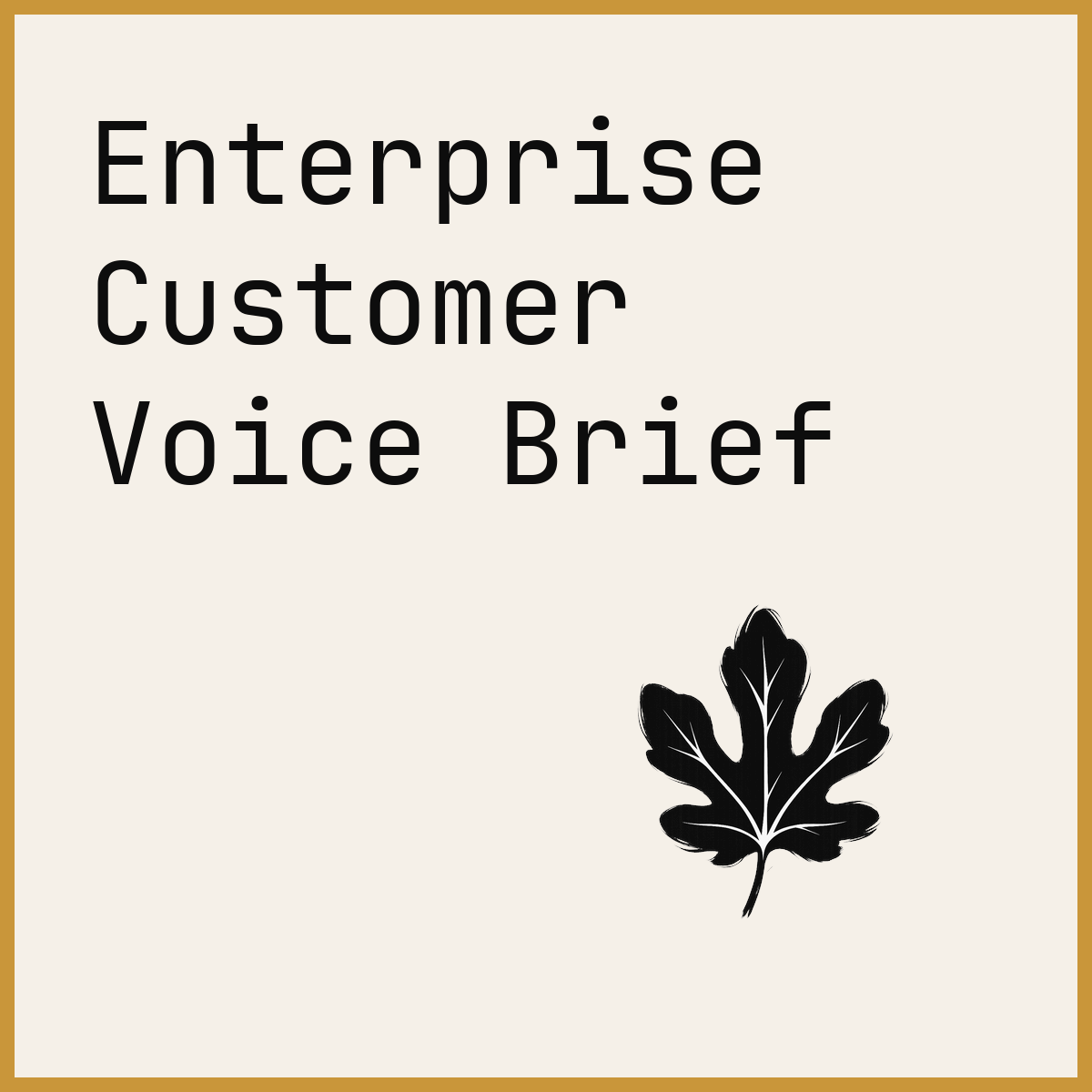 Enterprise Customer Voice Brief
