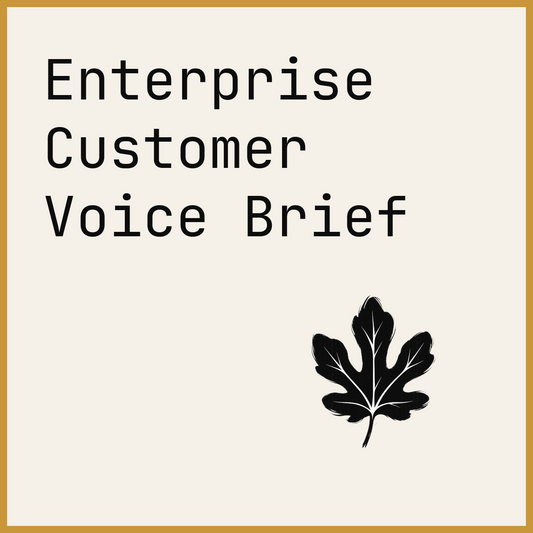 Enterprise Customer Voice Brief